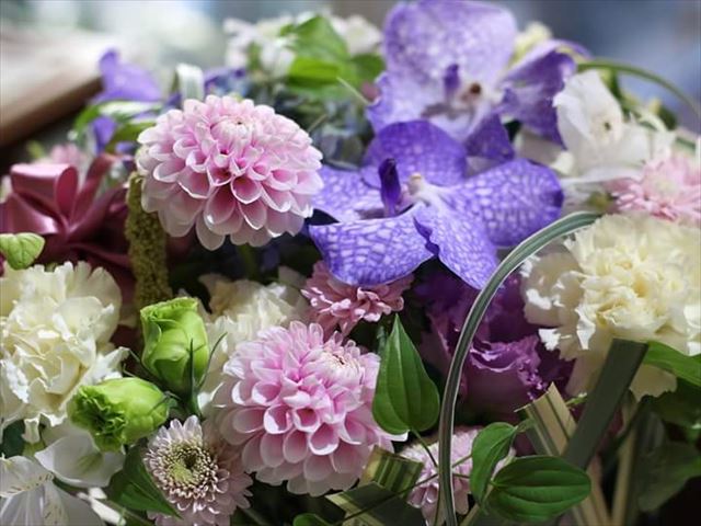 今日のかめら(^^♪