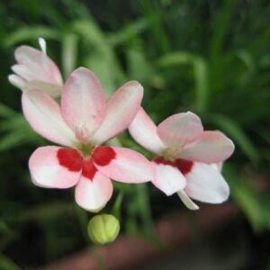 今日のかめら(^^♪