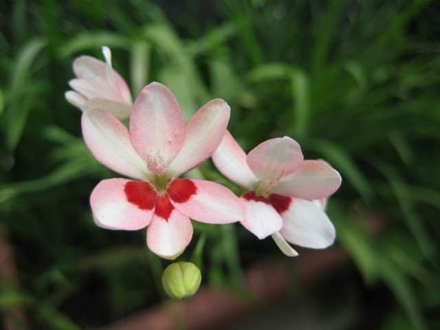 今日のかめら(^^♪