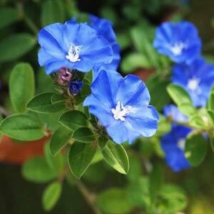 今日のかめら(*^^*)