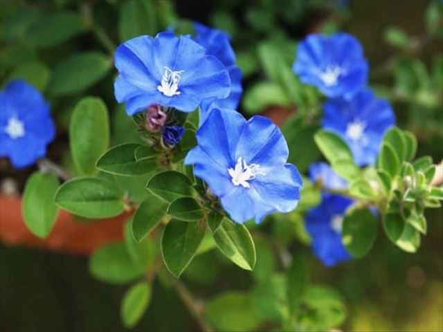 今日のかめら(*^^*)