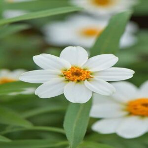 今日のかめら(^^♪