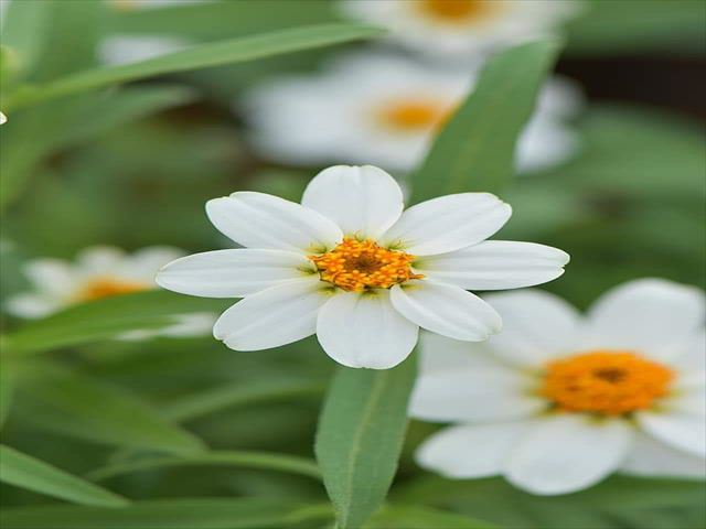 今日のかめら(^^♪