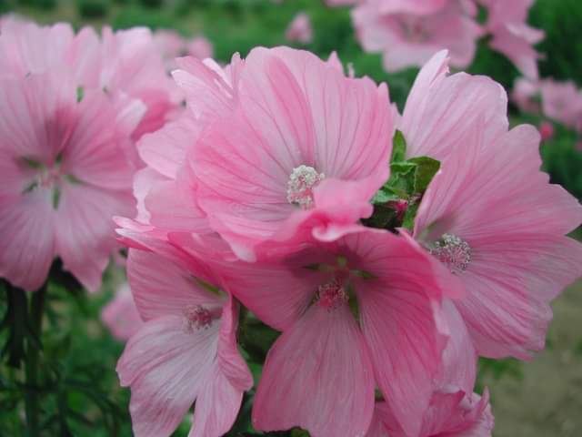 今日のかめら(^^♪