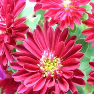 今日のかめら(^^♪