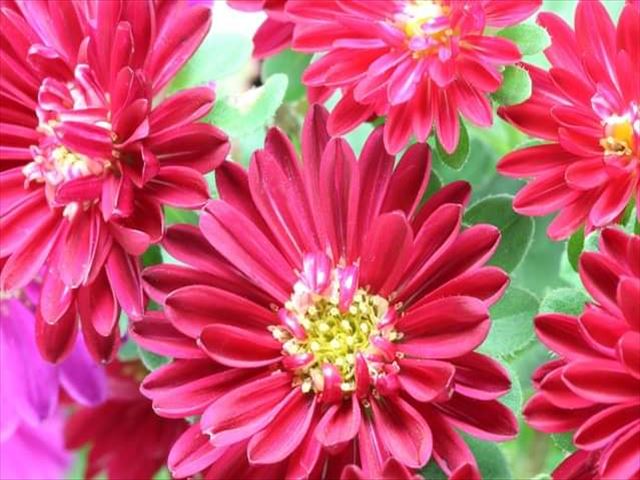 今日のかめら(^^♪