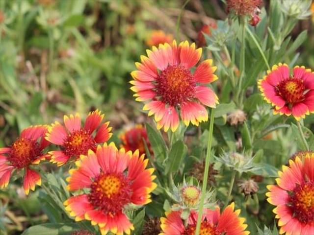 今日のかめら(^^♪