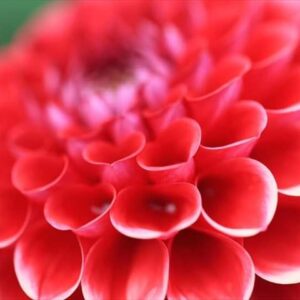 今日のかめら(^^♪