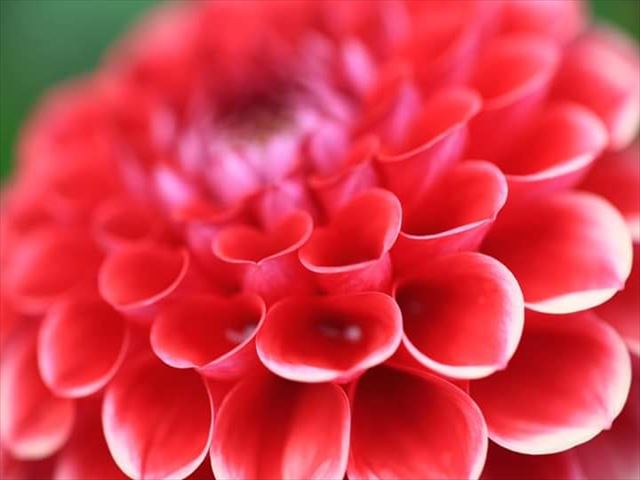 今日のかめら(^^♪