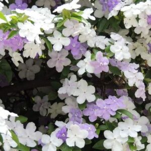 今日のかめら(^^♪