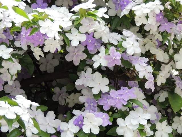 今日のかめら(^^♪