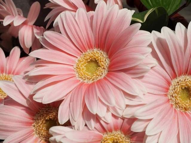 ふれあい遊ＤＡＹ