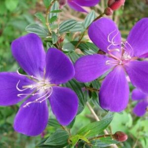 今日のかめら(^^♪