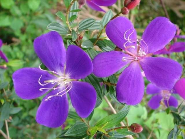 今日のかめら(^^♪