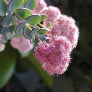 今日のかめら(^^♪