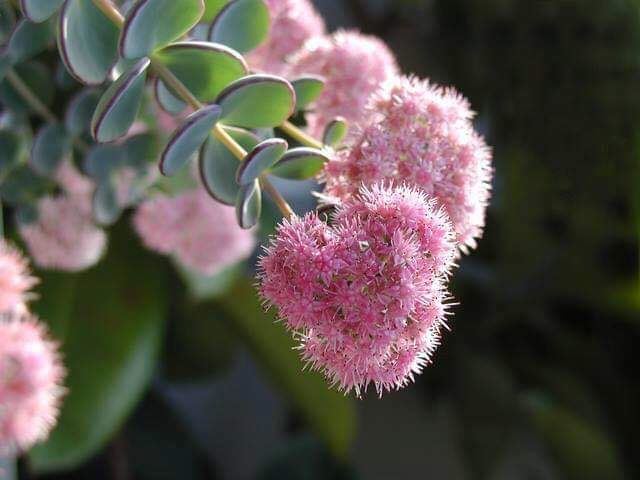 今日のかめら(^^♪