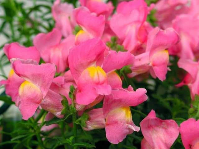 今日のかめら(^^♪