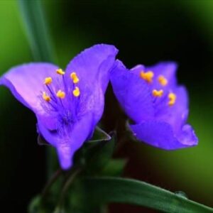 今日のかめら(^^♪