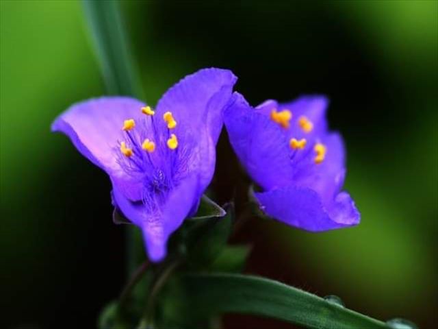 今日のかめら(^^♪