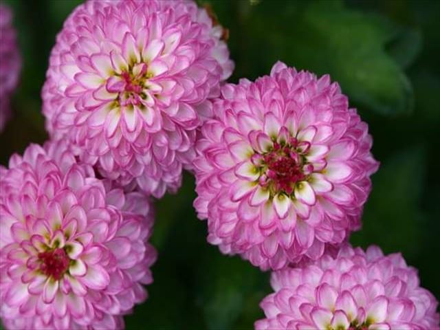 今日のかめら(^^♪