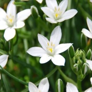 今日のかめら(^^♪