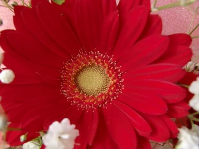 今日のかめら(^^♪