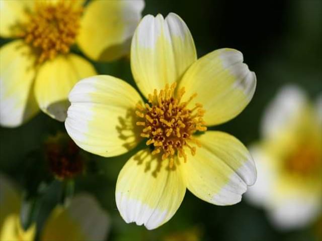 今日のかめら(^^♪