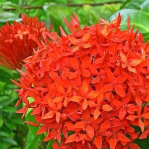 今日のかめら(^^♪