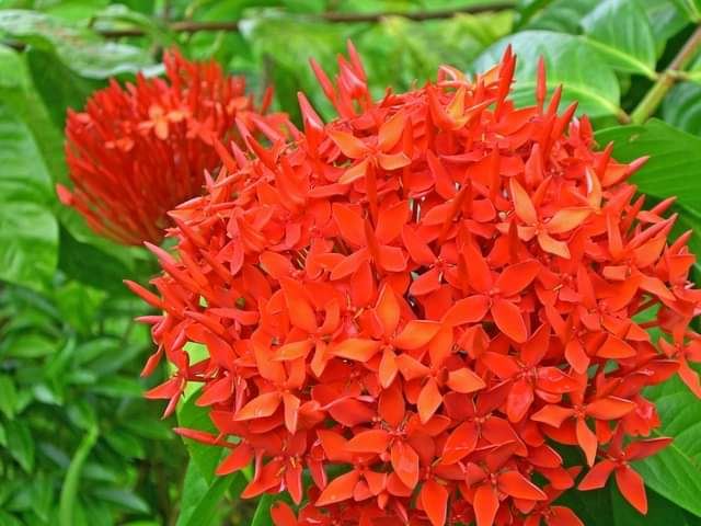 今日のかめら(^^♪