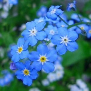 今日のかめら　(*^^*)